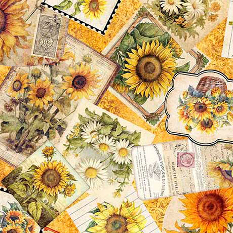 SUNFLOWER SERENADE       